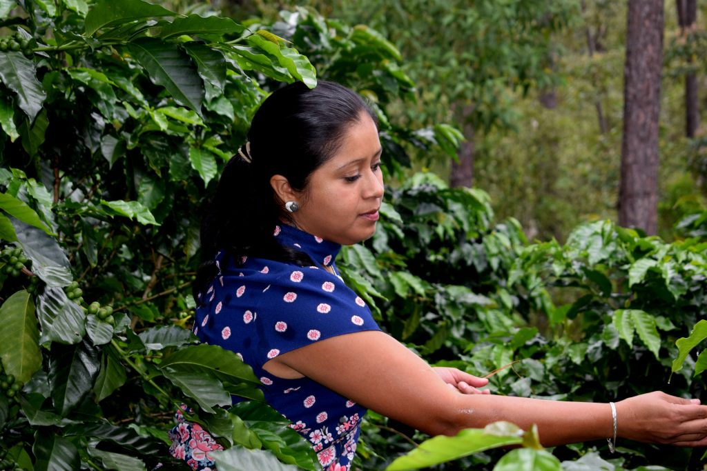 HONDURAS MARCALA