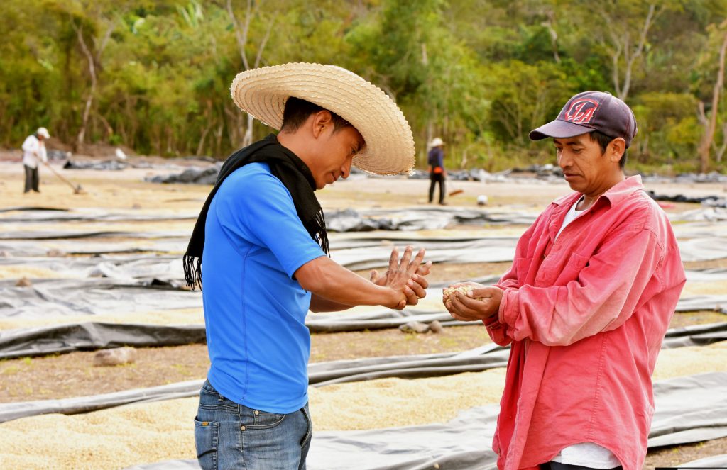 HONDURAS MARCALA