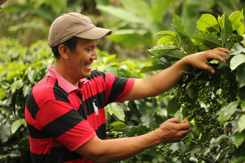 HONDURAS MARCALA